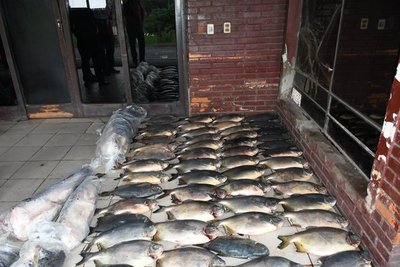 Decomisan productos pesqueros en zona Vista Alegre