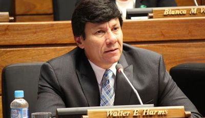 Piden interpelación de presidentes de ANDE y ESSAP