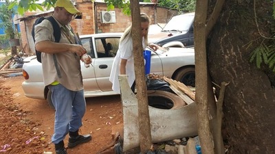 Casos de dengue suben 154% en el Alto Paraná