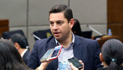 Alliana retornará el miércoles a la Cámara de Diputados