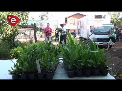 ENCARNACIÓN, CIUDAD DE LAS ORQUÍDEAS