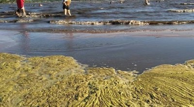Congreso Nacional estudia solución definitiva para salvar el lago Ypacarai