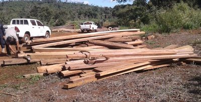 Hallan maderas aserradas cerca de la reserva del Parque San Rafael