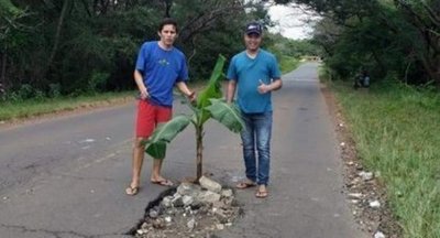 Jóvenes colocan planta de banana en enorme bache