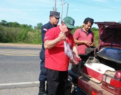 Decomisan piezas de animales silvestres en Villa Hayes