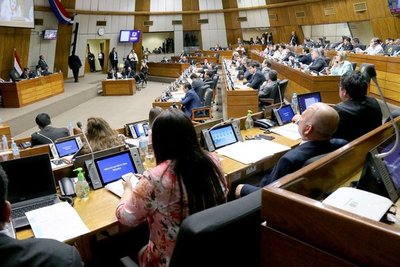 En audiencia pública debatirán creación del Instituto Paraguayo de la Carne
