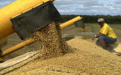 Sequía causa pérdida de USD 1.000 millones en el sector sojero