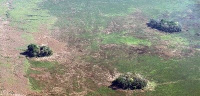En la Amazonía ya vivían comunidades estables hace más de 10.000 años