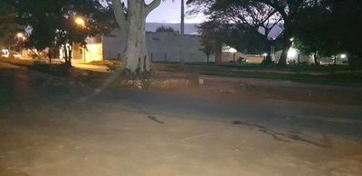Solicitan medidas de prevención de accidentes sobre avenida Dr. Victorio Curiel
