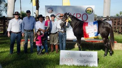 Expo Misiones 2019: Hoy continúan con varias actividades de la muestra ganadera