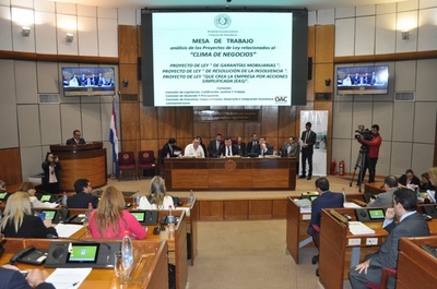 Presentan proyectos de leyes para proteger empleos e incentivar inversiones