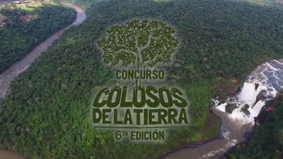 Estos son los requisitos para postular a tu coloso