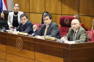 Giran a comisiones pedido de inspección de Banco Basa