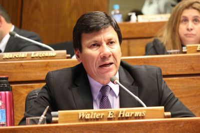 Harms trata de burro a Friedmann: "Con las disculpas de un animal tan noble"