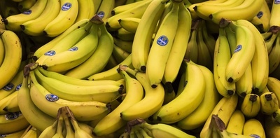 Reglamentan ley para inclusión de banana en la alimentación escolar