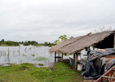 Lluvias dañan los rubros de consumo