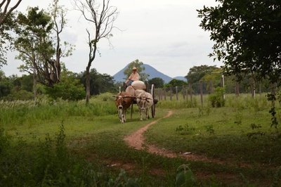 Censo Agropecuario, ¿para qué?