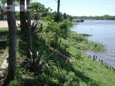 Proteger el ambiente