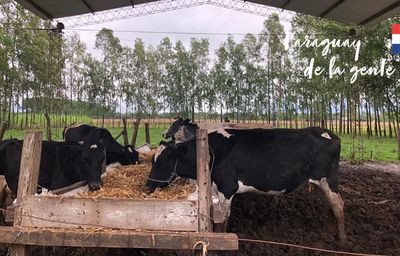 Fomentan aumento de producción láctea en el Sur