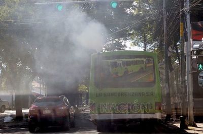 El aire que respiramos, claves para mejorarlo