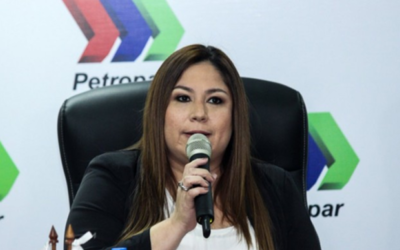 Petropar causa grandes pérdidas al patrimonio nacional, según exdiputado