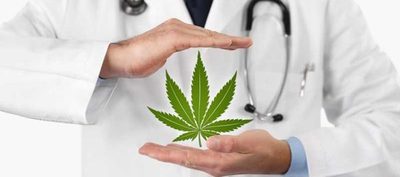 Dr. Mime sobre marihuana medicinal: "La gente sataniza al pedo"