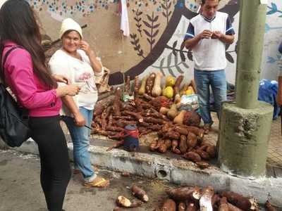 Campesinos llegan a la capital exigiendo que el Gobierno cumpla con acuerdos
