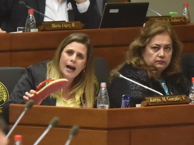 Diputados rechazaron tratar pérdida de investidura de Kattya González