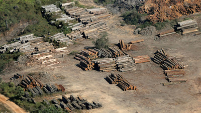Deforestación en Amazonía brasileña llega al 88%