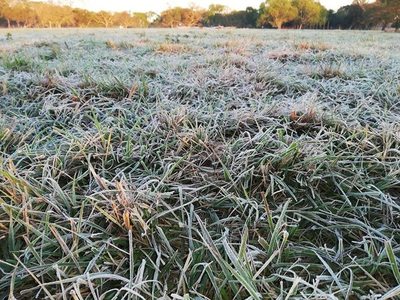 Frío polar se hizo sentir con intensidad este fin de semana en Misiones