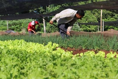 Itaipú apoyará a 10.000 nuevos productores de la agricultura familiar mediante proyecto
