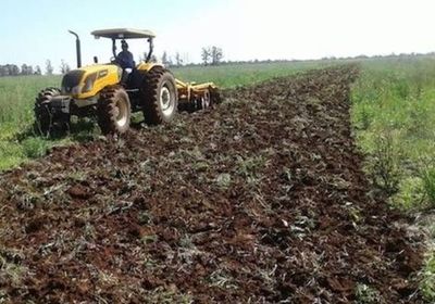 OCM y Asociación de Pequeños Productores de Misiones no temen al control vía GPS