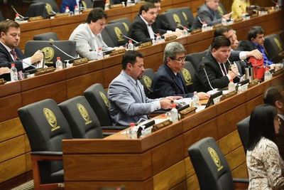 Diputados se ratifica en autoblindaje