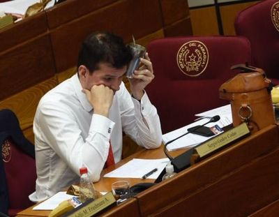 Godoy rechaza integrar comisión para investigar acta de Itaipú