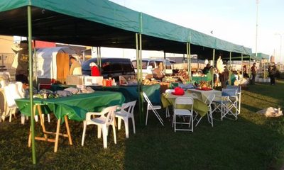 Resaltan exitosa venta en Feria Granjera