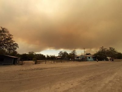 Reportan que incendio en pantanal afectó a especies animales