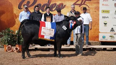 Grandes Campeones de la Expo Trébol 2019