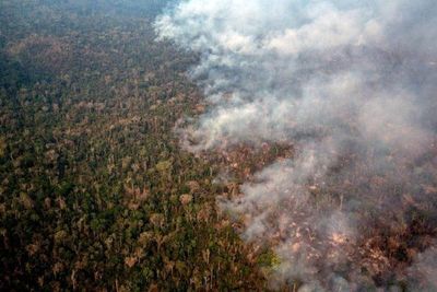 El número de incendios en Brasil hasta agosto es el mayor en 7 años
