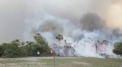 Senado declara emergencia ambiental para Alto Paraguay y Boquerón