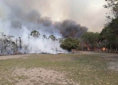 Los incendios de bosques en la región traerán sus consecuencias, afirman