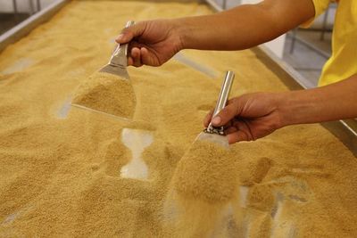 Anuncian exportación de azúcar a la República China (Taiwán)