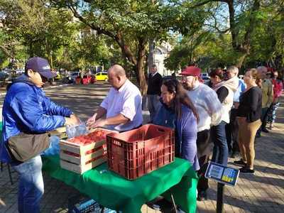 Feria del Tomate supera expectativas de organizadores y productores