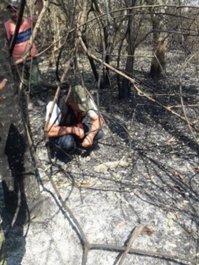 Ministerio del Ambiente monitorea zona del incendio y proyecta rescate de animales silvestres
