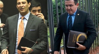 Petta vs Ovelar: "La reacción de Petta fue errada", sostiene Daniel Centurión
