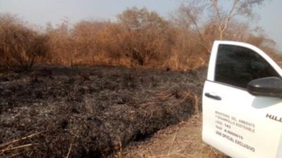 Estudios afirman que si el Amazonas se daña en un 40%, puede que no se recupere