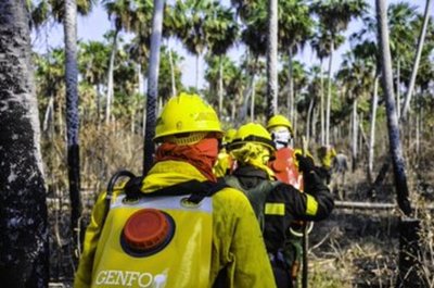 Existen 16 focos de incendios en Bahía Negra