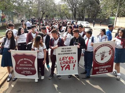 Marchan por aprobación de ley Loreli