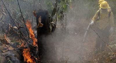 "El fuego en el Chaco lo causó el hombre"