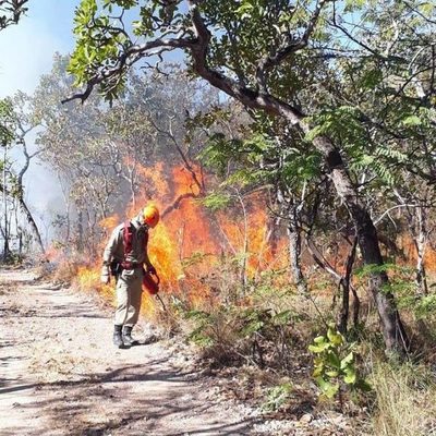 EE.UU. dice ahora que no apoya la ayuda del G7 a Brasil por la Amazonia