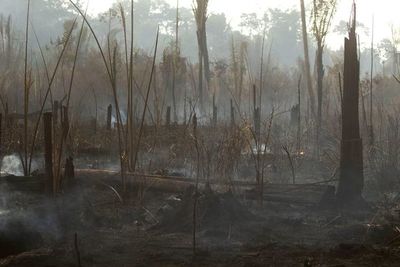 Brasil carga contra “ideas raras” de internacionalizar la Amazonia